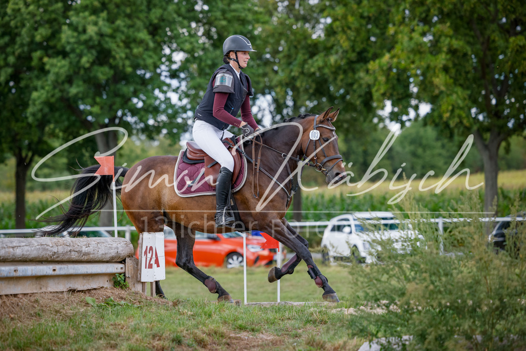 20250905-_3LI0621 | Tierfotografie Pferde, Hunde, Katzen, Haustiere.
Turnierfotografie Reitturniere, Reiten, Springreiten, Dressur in Hanau, dem Main-Kinzig-Kreis und dem Rhein-Main- Gebiet um Frankfurt