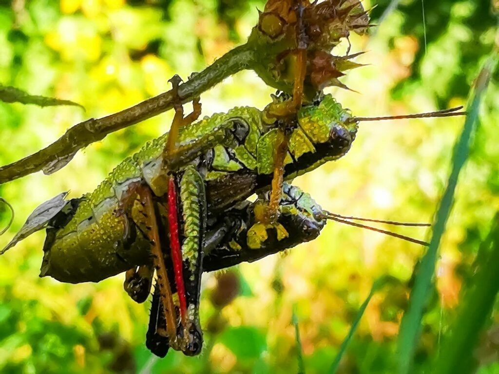 PSX_20220912_225102 | mtkfoto_ - Realisiert mit Pictrs.com