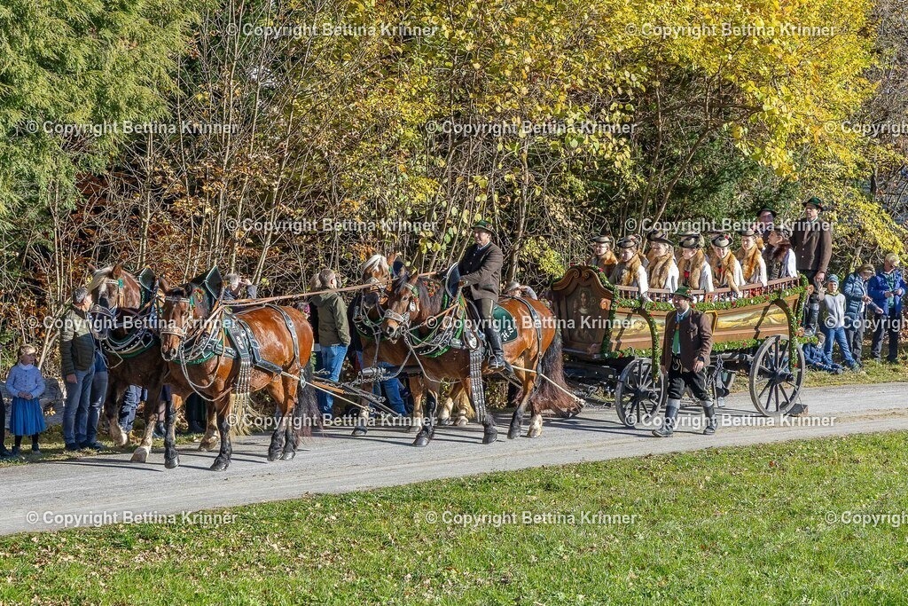 LBT25-546 | foto-bettina-krinner - Realisiert mit Pictrs.com