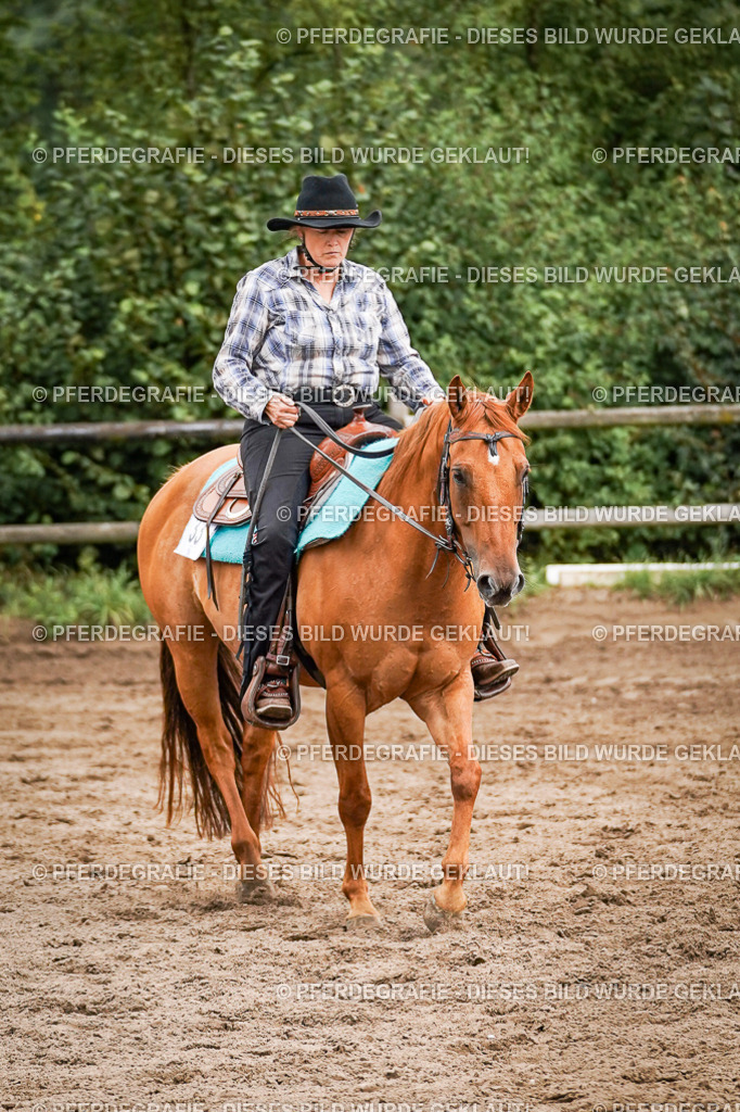 DSC08615 | Pferdegrafie