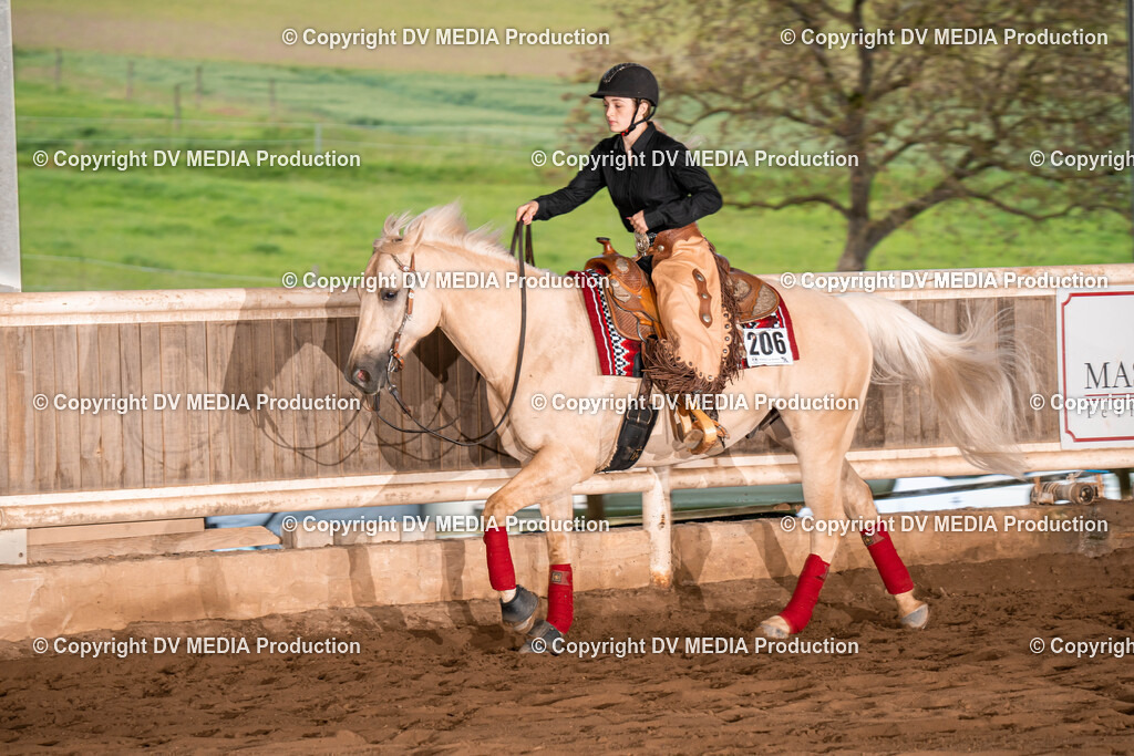 Erbach Tag 1-1108 | dv-media-shop - Realisiert mit Pictrs.com