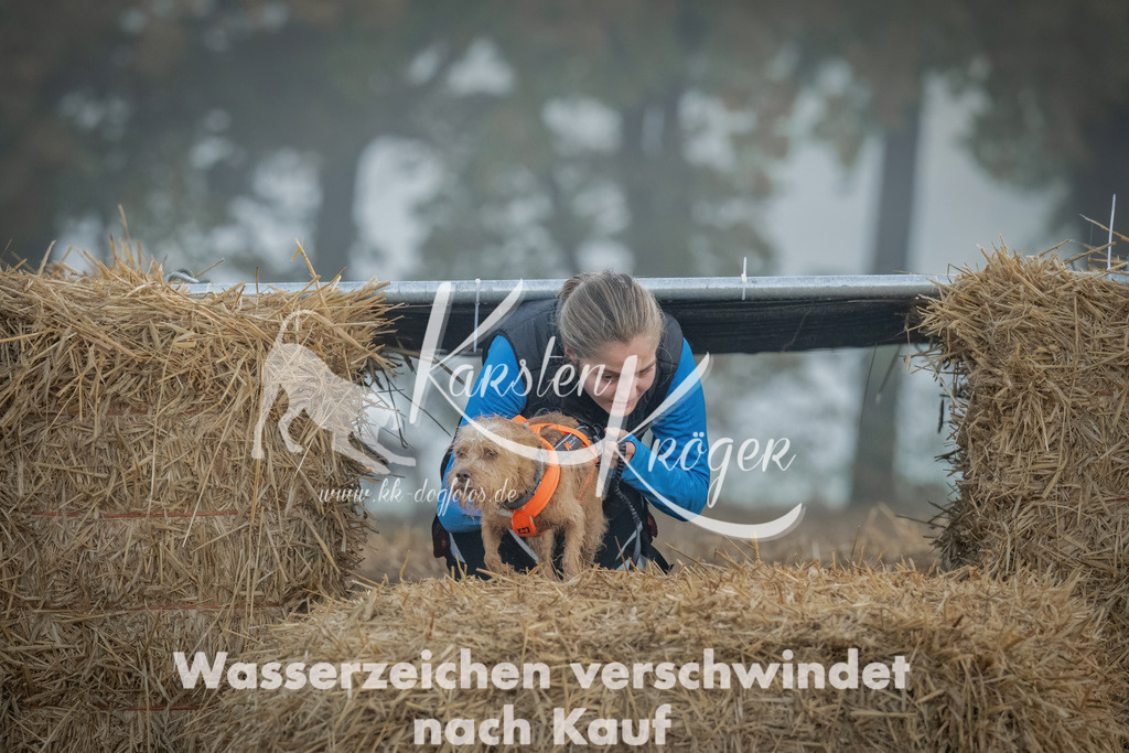 0818_ZZ97639 | kk-dogfotos