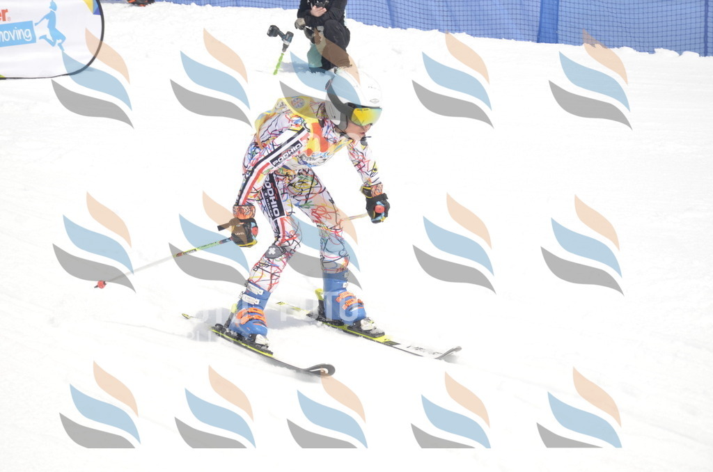 _ELE8725 | holidayphoto