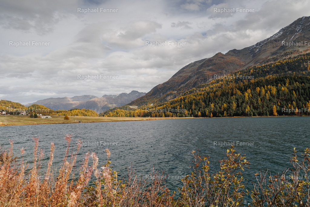 IMG_9514 | Erlebe eindrucksvolle Landschaftsfotografie aus dem Engadin und darüber hinaus. Raphael Fenner bietet zudem professionelle Fotoaufträge für Hochzeiten, Porträts und Unternehmen. Jetzt entdecken und inspirieren lassen!