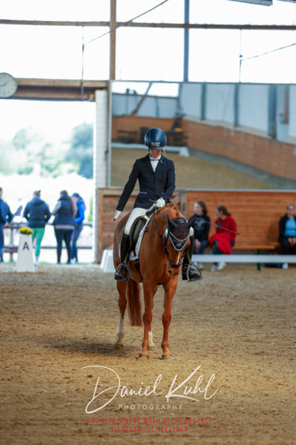 _62_6953 | Turniersportfotografie; Pferdefotografie; Dressurfotografie
