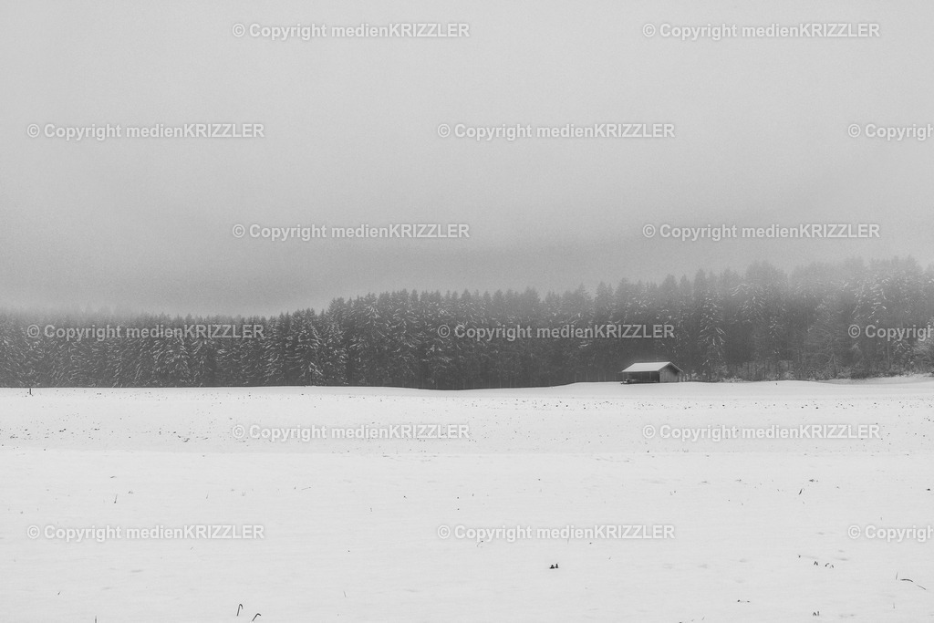 _J3A9552 | medienkrizzler - Realisiert mit Pictrs.com