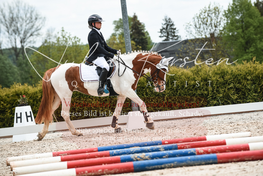 20230518_JK-Röhrsdorf-10-679 | Pferde- und Turnierfotografie in Westsachsen. Pferdeportraits, Auftragszeichnungen und intuitive Kunst.