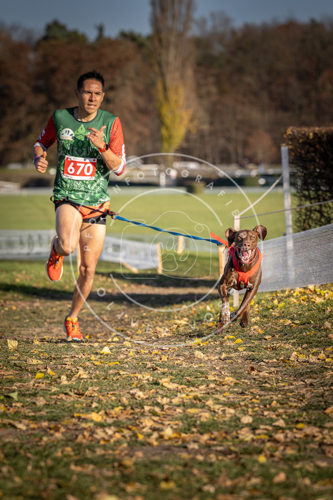 CaniXpix_DV3A0835 | Hundefotografie, Tierfotograf, Pfotenfotografie, Fotoshooting Hund, Hunde Portrait, Hundesport, Hundeportraits, Heideshooting, Hunde, Sportfotograf, Hundefotograf, Turnierhundsport, THS,  - Realisiert mit Pictrs.com