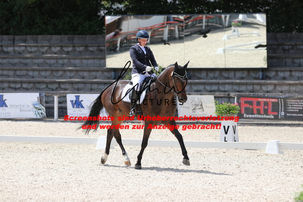 IMG_4546 | lmwpictures - Realisiert mit Pictrs.com