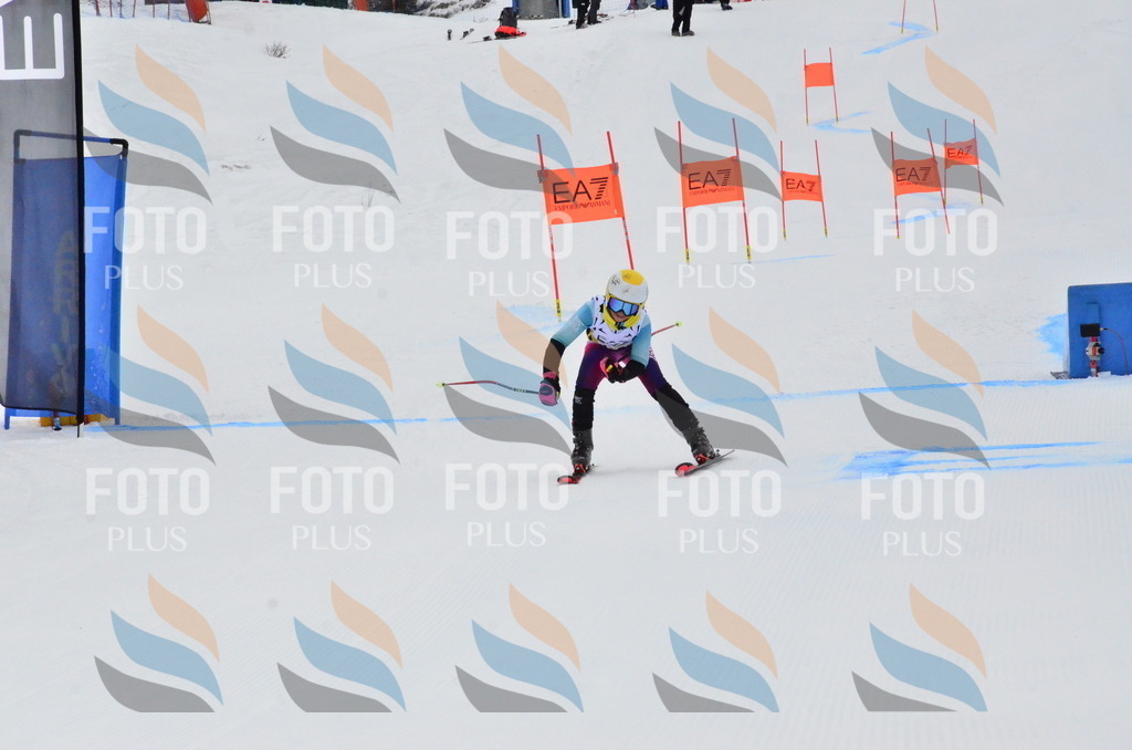 _ELE3673 | holidayphoto