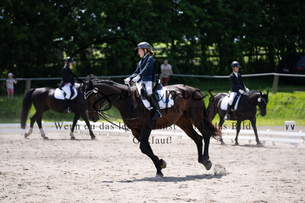 A7V02966 | Pferdefotograf