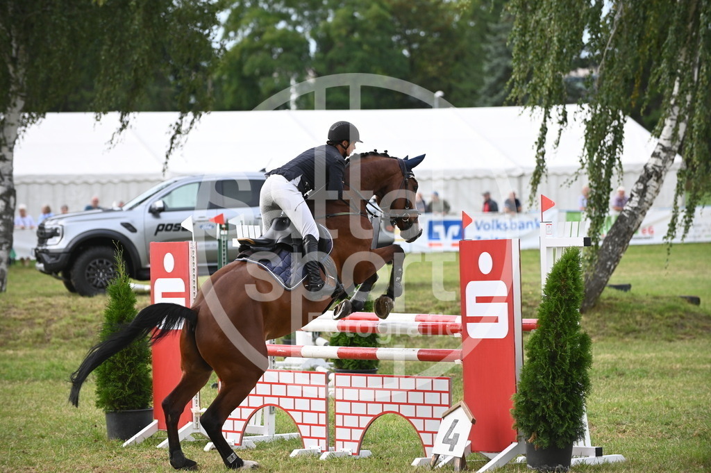 DSC_3386 | sattelsport - Realisiert mit Pictrs.com