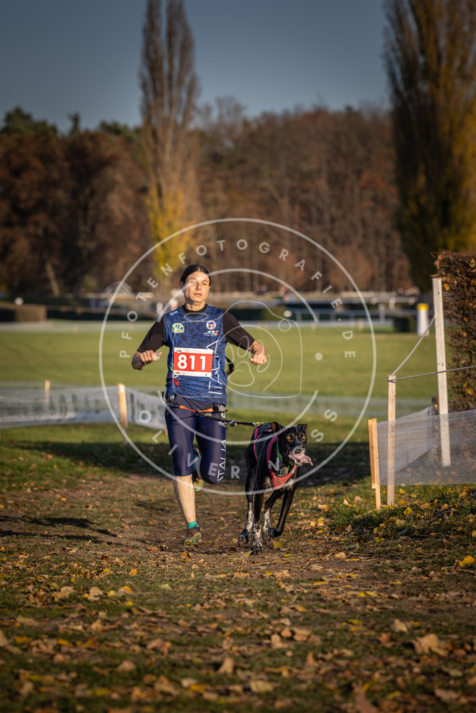 CaniXpix_DV3A3049 | Hundefotografie, Tierfotograf, Pfotenfotografie, Fotoshooting Hund, Hunde Portrait, Hundesport, Hundeportraits, Heideshooting, Hunde, Sportfotograf, Hundefotograf, Turnierhundsport, THS,  - Realisiert mit Pictrs.com