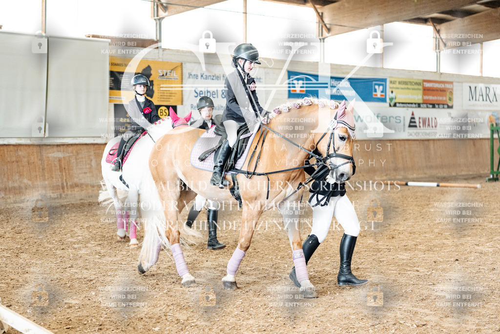 CK906035 | Turnierfotografie Pferdefotografie Trier Rheinland-Pfalz Pferdesport Reitsport Tierfotografie Sportfotografie Pferdevideo Pferdevideografie Equestrianvideography equestrianphotography  - Realisiert mit Pictrs.com