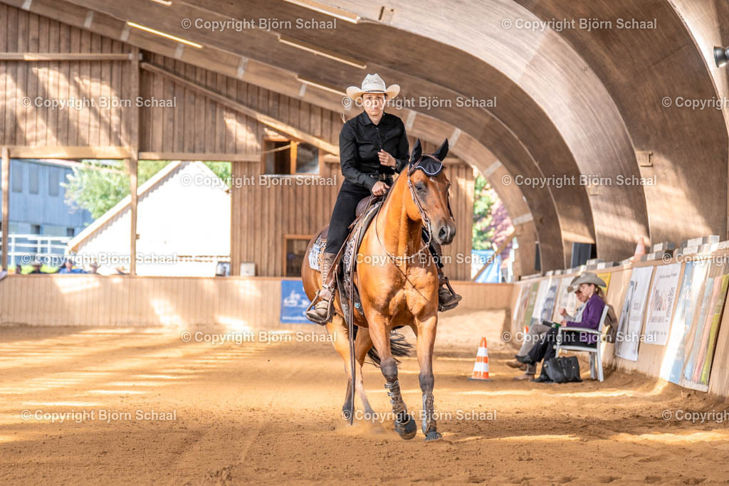 LMS01393 | BS-foto