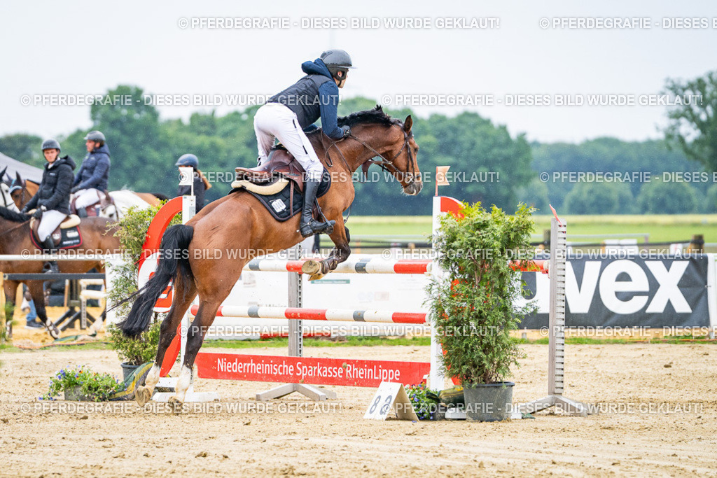 DSC08324 | Pferdegrafie