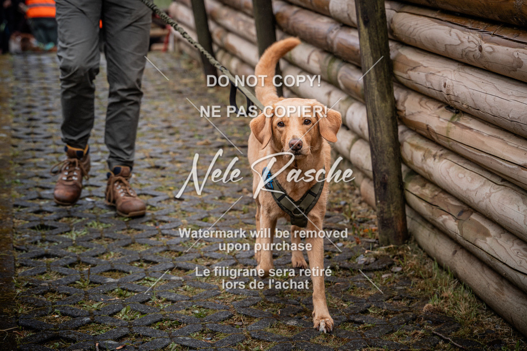 nelerasche_SoAuszug_47 | nelerasche