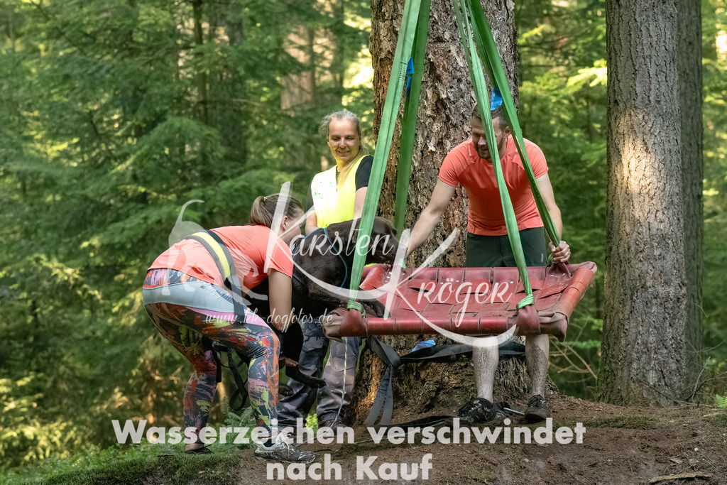 1415_ZZ90054-Bearbeitet-5 | kk-dogfotos