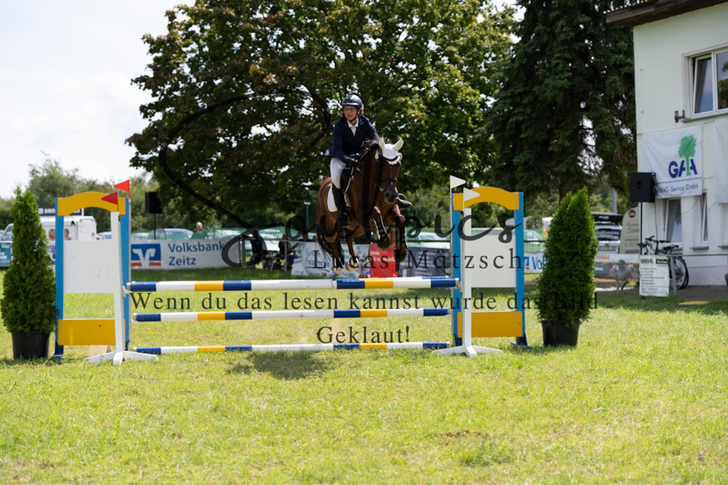 A7V04435 | Pferdefotograf