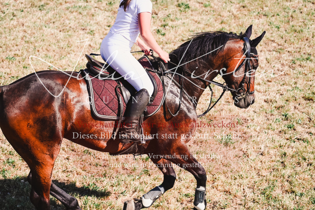 DSC_2007 | Pferde- und Turnierfotografie in Westsachsen. Pferdeportraits, Auftragszeichnungen und intuitive Kunst.
