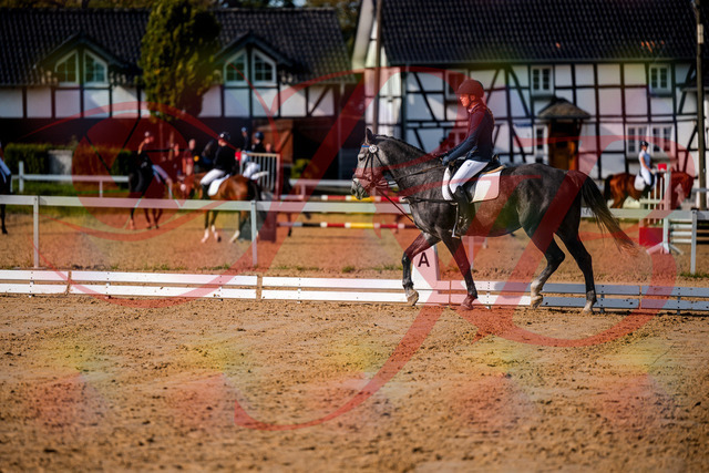 2026_10_03_Siefer-Hof_120051_Z63_32405496 | Professionelle Reitsport-, Turnier- und Eventfotografie von Robert Broda. Galerien mit ausgewählten und bearbeiteten Bildern direkt online ansehen und bestellen.