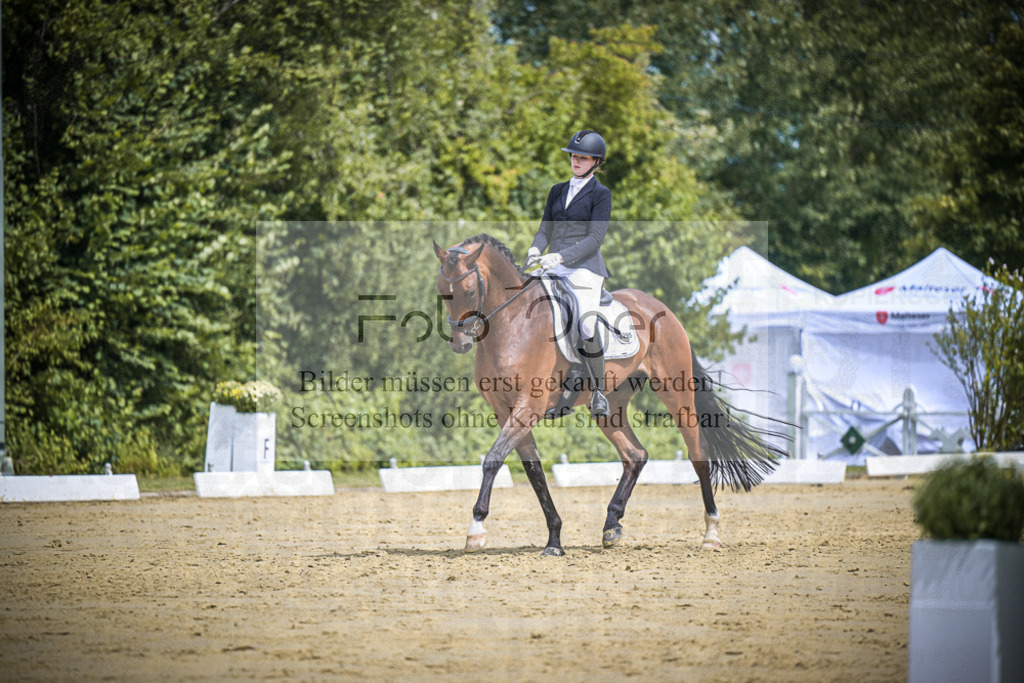 DOS_2816 | Entdecke hochwertige Reitturnierfotos von Foto Oger. Professionell, emotional und authentisch – jetzt Lieblingsmomente im Shop bestellen.Deutschlandweite Turnierfotografie. - Realisiert mit Pictrs.com