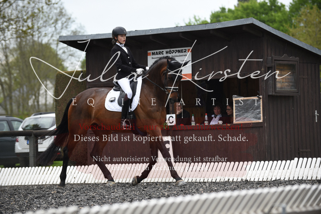 20230513_JK-Röhrsdorf-16-039 | Pferde- und Turnierfotografie in Westsachsen. Pferdeportraits, Auftragszeichnungen und intuitive Kunst.
