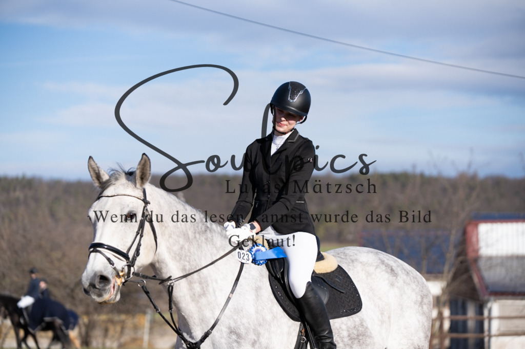 A7V02108 | Pferdefotograf