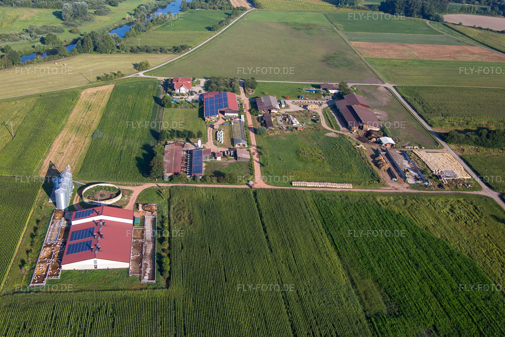 Luftbild: Gehöft eines Bauernhofes von Herbert Wollenbär im Ortsteil Ichenheim in Neuried im Bundesland Baden-Württemberg in Deutschland. Foto: IMG_093198.jpg vom 16.08.2016 durch Werner Riehm/FLY-FOTO.de