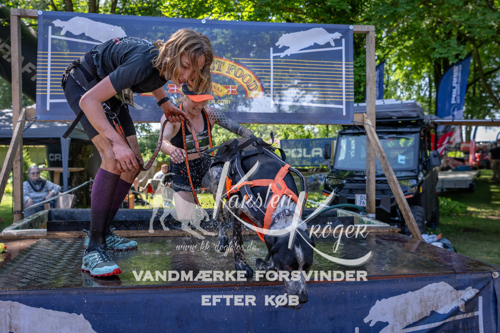 1344_ZZ92180 | kk-dogfotos