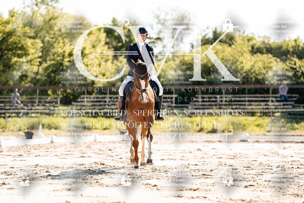 CK909321 | Turnierfotografie Pferdefotografie Trier Rheinland-Pfalz Pferdesport Reitsport Tierfotografie Sportfotografie Pferdevideo Pferdevideografie Equestrianvideography equestrianphotography  - Realisiert mit Pictrs.com