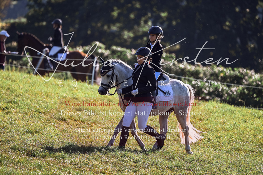DSC_0434 | Pferde- und Turnierfotografie in Westsachsen. Pferdeportraits, Auftragszeichnungen und intuitive Kunst.