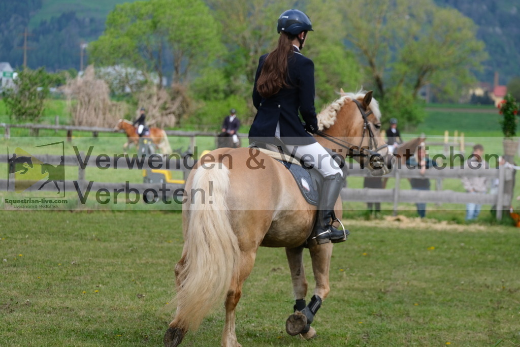 DSCF3952 | equestrian-live-com