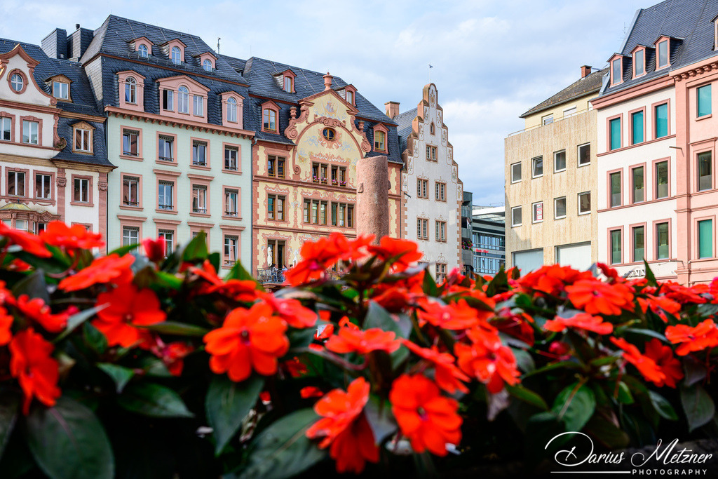 DSC_3336 | Fotografien, Fotos und Bilder aus Mainz, Frankfurt, Wiesbaden und anderen Orten auf der Welt - Fotografiert von Darius Metzner