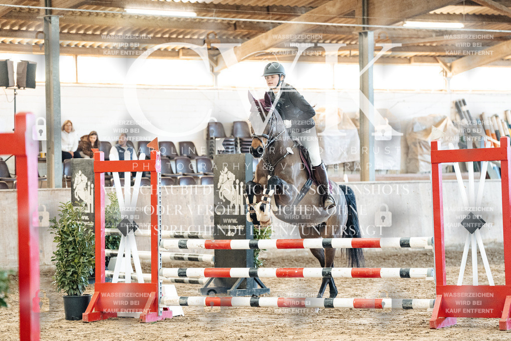 CK904216 | Turnierfotografie Pferdefotografie Trier Rheinland-Pfalz Pferdesport Reitsport Tierfotografie Sportfotografie Pferdevideo Pferdevideografie Equestrianvideography equestrianphotography  - Realized with Pictrs.com