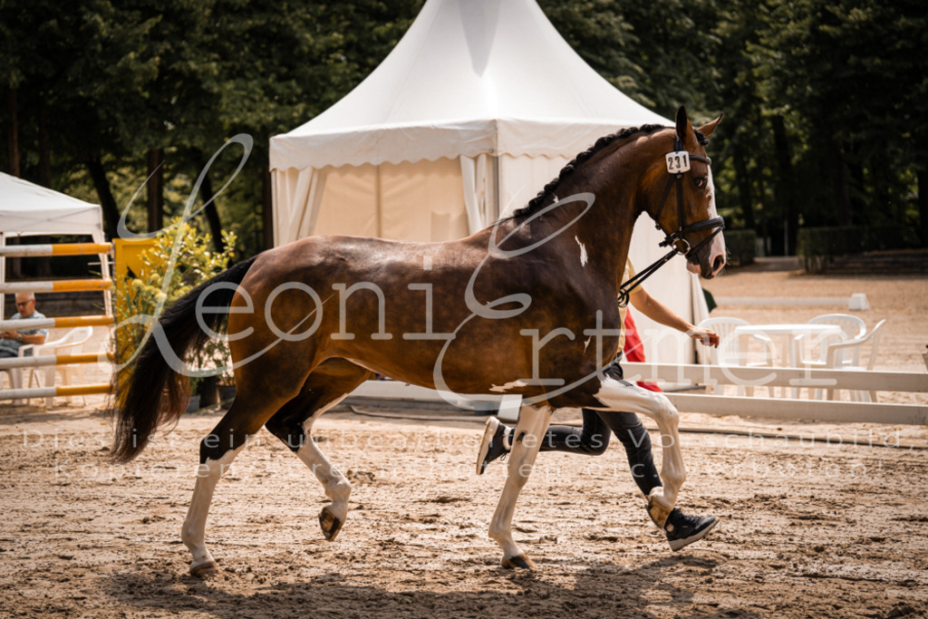 2. Fr00178 | Leoni Ertmer Photography - Realisiert mit Pictrs.com