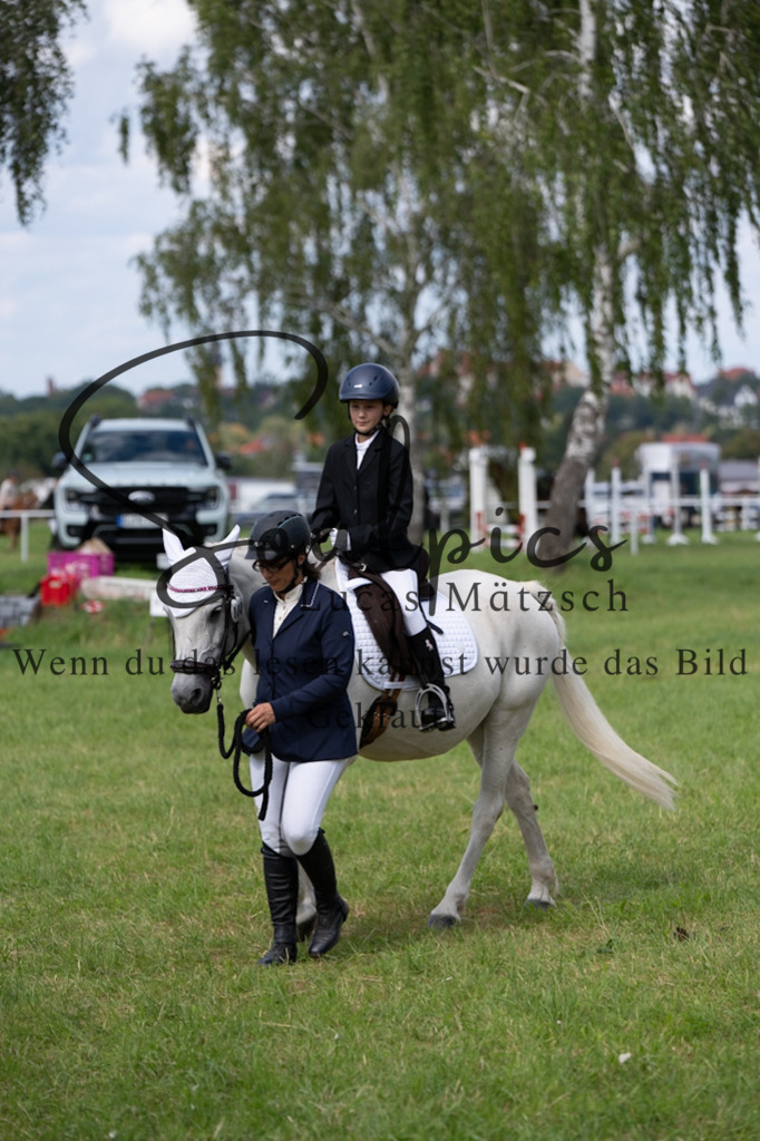 A7V03343 | Pferdefotograf