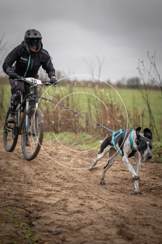 DV3A9107 | Hundefotografie, Tierfotograf, Pfotenfotografie, Fotoshooting Hund, Hunde Portrait, Hundesport, Hundeportraits, Heideshooting, Hunde, Sportfotograf, Hundefotograf, Turnierhundsport, THS,  - Realisiert mit Pictrs.com