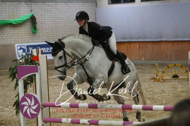 IMG_0605 | Turnierfotos kaufen im Webshop von Daniel Kuhl Photography – entdecke professionelle Reitsportfotos aus Turnieren & Events. Hochwertige Turnierbilder online bestellen & sichern. Jetzt Fotos von Reitsportturnieren kaufen!