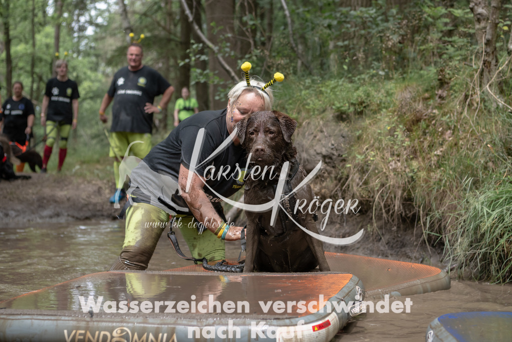 1336_ZZ94912 | kk-dogfotos