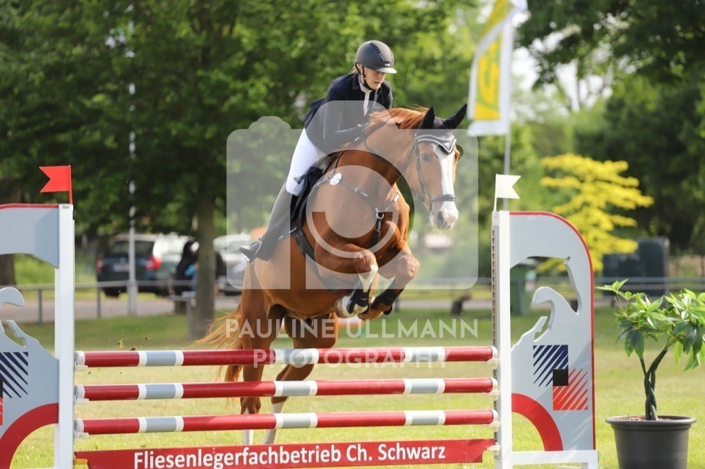 IMG_6943 | Pauline Ullmann Photography - Realisiert mit Pictrs.com