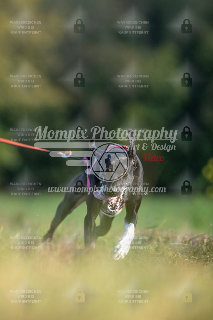 CDLBDB_15_10_2023_Dimanche-284 | PayLife