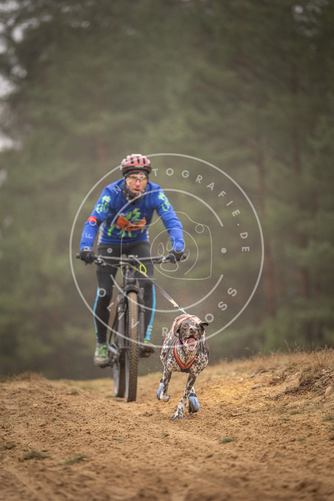 Pfotenfotografie_DV3A2857 | Hundefotografie, Tierfotograf, Pfotenfotografie, Fotoshooting Hund, Hunde Portrait, Hundesport, Hundeportraits, Heideshooting, Hunde, Sportfotograf, Hundefotograf, Turnierhundsport, THS,  - Realisiert mit Pictrs.com