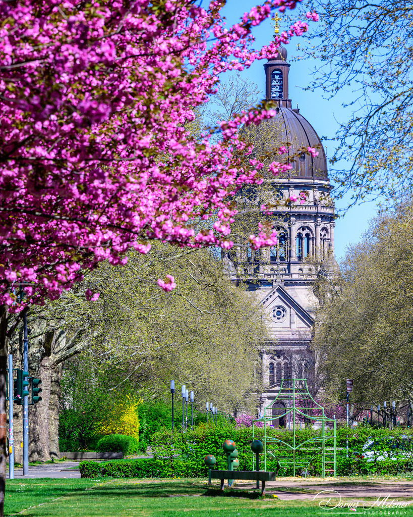 DSC_8339 | Fotografien, Fotos und Bilder aus Mainz, Frankfurt, Wiesbaden und anderen Orten auf der Welt - Fotografiert von Darius Metzner