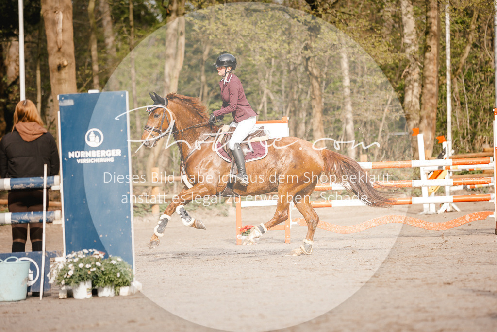 3I6A3220 | Stimmungsvolle Portraits und Reitsportfotografie im Ruhrgebiet und im Münsterland.

Pferdefotografie, Hundefotografie, Tierfotografie, Reportagen, Portraits von Tier und Mensch, Turnierfotografie in Bochum, Recklinghausen, Marl, Haltern am See, Dülmen.. - Realisiert mit Pictrs.com