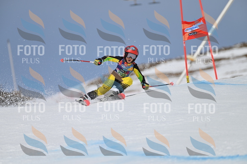 BGV_5881 | holidayphoto