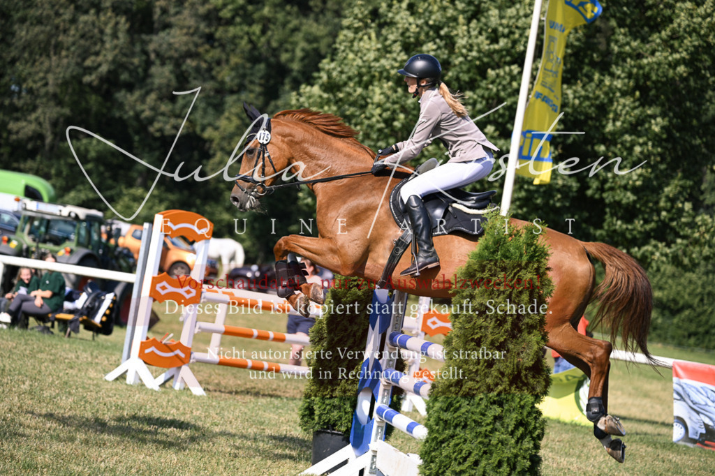 DSC_1303 | Pferde- und Turnierfotografie in Westsachsen. Pferdeportraits, Auftragszeichnungen und intuitive Kunst.