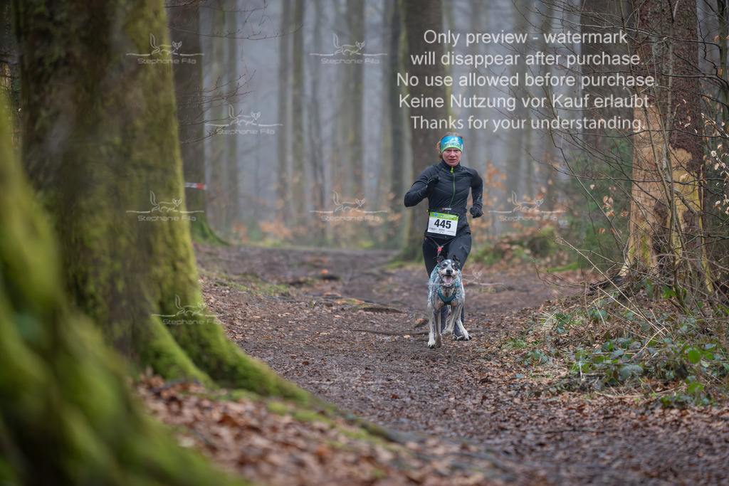 Canix_So-39 | stephaniefillaphotographie - Realisiert mit Pictrs.com