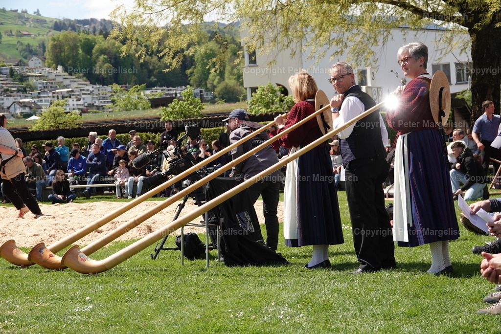DSC00561 | Schwingen - Realisiert mit Pictrs.com