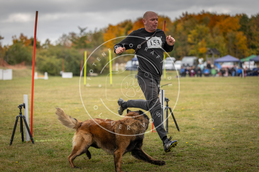 Pfotenfotografie_DV3A6316 | Hundefotografie, Tierfotograf, Pfotenfotografie, Fotoshooting Hund, Hunde Portrait, Hundesport, Hundeportraits, Heideshooting, Hunde, Sportfotograf, Hundefotograf, Turnierhundsport, THS,  - Realisiert mit Pictrs.com
